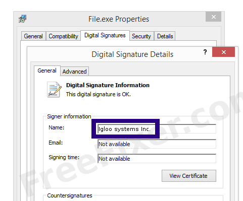 Screenshot of the Igloo systems Inc. certificate
